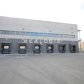 Kühllager: ca. 2.500 qm | 5x Rampe | ca. 12 m UKB !