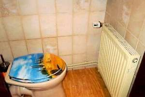 Einfamilienhaus mit Garage zu verkaufen! – Willershäuser Str. 2, 99830 Ifta – Vorschaubild 10