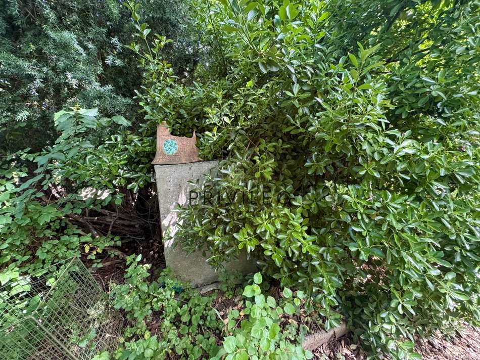 Gartenlandschaft
