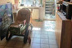 Seltene Gelegenheit: Großzügiger Bungalow mit Terrasse, Keller und Garage in Ludwigshafen-Oppau – 67069 Oppau, Ludwigshafen am Rhein – Vorschaubild 28