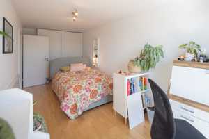 Ihr smartes Zuhause: Moderndes Reihenhaus mit Garten & Dachterrasse – Rhein-Neckar-Kreis – Vorschaubild 6