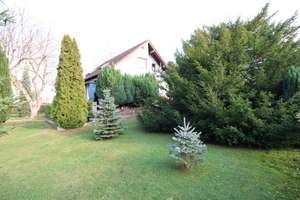 Modernes Einfamilienhaus (Massivbau) mit PV-Anlage auf großem Grundstück