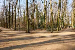 Property thumbnail 17