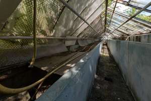 Property thumbnail 23