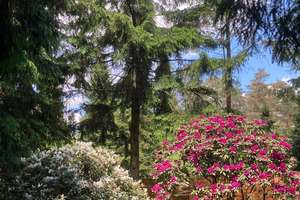 Exklusives Wohnen inmitten der Natur – 33689 Sennestadt, Bielefeld – Vorschaubild 16