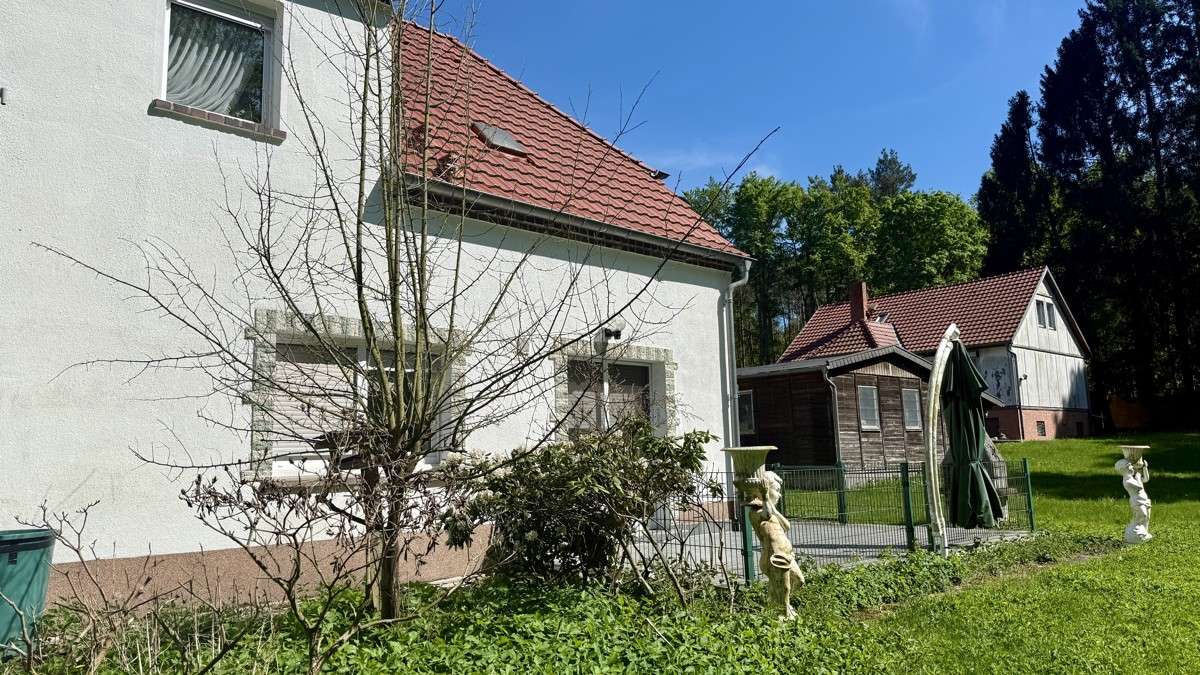 PROVISIONSFREI|Exklusives Anwesen in Alleinlage – Zwei Wohnhäuser, Scheune & Werkstatt auf 4505 qm, Wittenberg Kreis – Bild 4