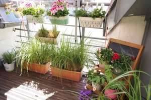 Exklusive Dachgeschosswohnung mit Süd-/West-Terrasse im stilvollen Jahrhundertwendehaus – Die vollständige Adresse der Immobilie erhältst du vom Anbieter., 40479 Pempelfort, Düsseldorf – Vorschaubild 33