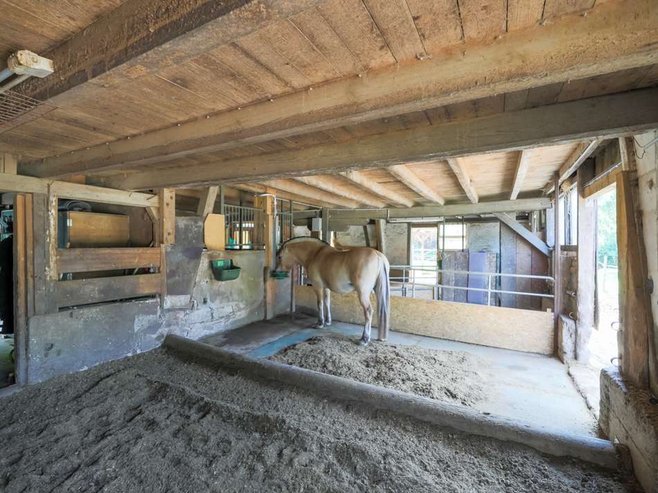 Innenansicht Hausstall