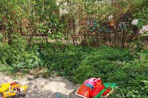 Urbane Wohnidylle im Vinzenzviertel - 3 Zimmer mit Altbauflair und Potential – Hedwigstrasse xx -, 80636 St. Vinzenz, München – Vorschaubild 21
