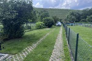 Charmantes Reihenhaus in ruhiger Lage mit nähe zum Stadtkern – Die vollständige Adresse der Immobilie erhältst du vom Anbieter., 53474 Bad Neuenahr-Ahrweiler – Vorschaubild 7
