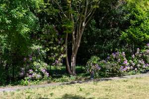 Property thumbnail 13