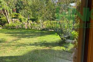 Premium-Anwesen nahe Nordsee | Einfamilienhaus mit separater Fewo | 5.600 m² – Oxstedter Straße 178, 27476 Cuxhaven – Vorschaubild 18