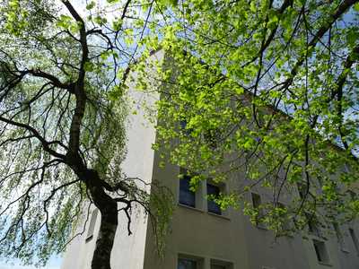 Unterkunft auf Zeit! Möblierte 2-Zimmer-Wohnung mit EBK zu vermieten