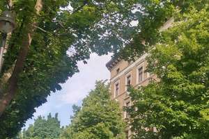 Helle und großzügige 2-Raum-DG-Wohnung mit Fahrstuhl – Lutherstraße 13, 39112 Sudenburg, Magdeburg – Vorschaubild 18
