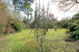 Property thumbnail 25