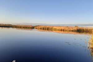 Wohnen am See auf einem Vierseitenhof, mit den Kranichen aufstehen – Potsdam-Mittelmark (Kreis) – Vorschaubild 22