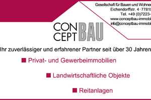 Exklusives, energieeffizientes Designwohngebäude mit traumhaftem, unverbaubarem Panoramaausbli – Ortenaukreis – Vorschaubild 7