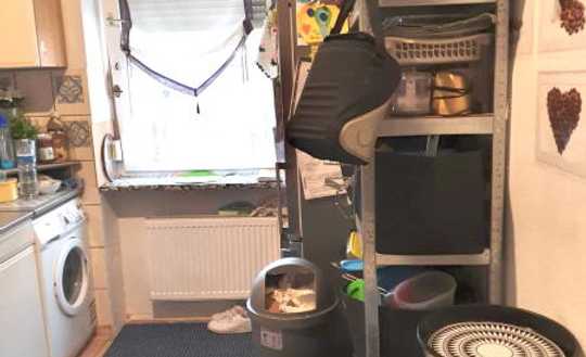 3 Zimmerwohnung im Zentrum von Ludwigshafen
