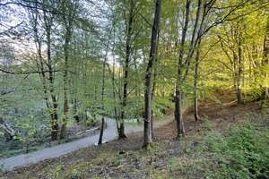 Ostsee, besonders schöne Lage, 2 Zimmerwohnung mit Balkon und Pkw-Stellplatz, 300 Meter zur Flensbur – Sandwighof 26, 24960 Glücksburg (Ostsee) – Vorschaubild 12