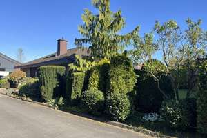 Großzügiger Walmdach-Bungalow in ruhiger Sackgasse mit 639 m² Grundstück. – Die vollständige Adresse der Immobilie erhältst du vom Anbieter., 48163 Amelsbüren, Münster – Vorschaubild 3