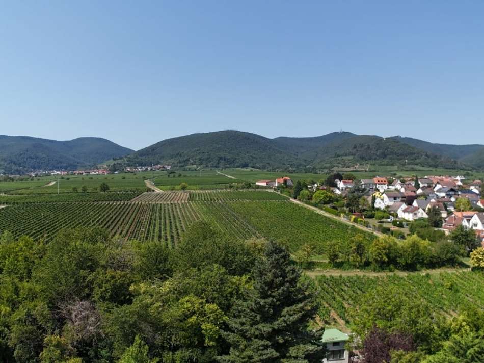 Nahes Umfeld
