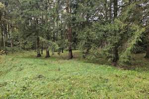 Modernes Wohnen in Alleinlage - auf großem Naturgrundstück und fußläufiger Entfernung zum NOK! – Die vollständige Adresse der Immobilie erhältst du vom Anbieter., 25557 Beldorf – Vorschaubild 6