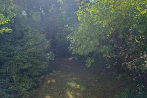 2 Zimmer Wohnung in Waldtrudering – 81827 Waldtrudering, München – Vorschaubild 6