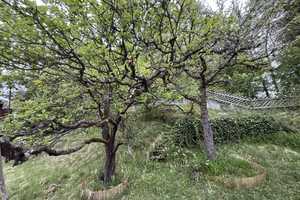 Freistehendes Häuschen mit charmantem Garten - Nutzung als Hauptwohnsitz oder auch
Wochenenddomizil – Schwandorf (Kreis) – Vorschaubild 10