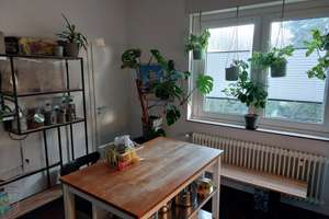 3,5 Zimmer Wohnung in Gelsenkirchen Buer – Diesingweg 25, 45894 Buer, Gelsenkirchen – Vorschaubild 6