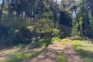 Idyllisches Wochenendhaus in Lehnstedt – Hagen im Bremischen – Die vollständige Adresse der Immobilie erhältst du vom Anbieter., 27628 Wulsbüttel – Vorschaubild 16