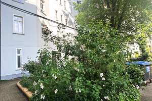 Bezugsfrei: Helle 2-Zi-Wohnung nahe Bürgerpark Pankow, keine Käuferprovsion, Ausrichtung Süd-West – Die vollständige Adresse der Immobilie erhältst du vom Anbieter., 13187 Pankow (Ortsteil), Berlin – Vorschaubild 2