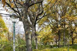 Property thumbnail 28