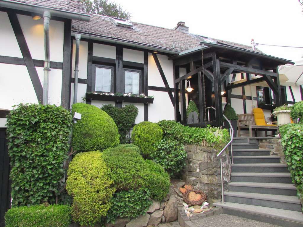 Immobilie in Großseifen - Außergewöhnliches Künstlerhaus mit liebevoll gestaltetem Garten – nahe Bad Marienberg - Bild 3