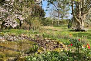 Reetdachhaus mit verwunschenem parkähnlichem Garten – Segeberg (Kreis) – Vorschaubild 8