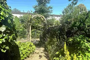 Großes Haus mit Garage in schöner Lage von Lechenich-Süd zu verkaufen (ca. 15 Fußminuten vom Markt) – Rhein-Erft-Kreis – Vorschaubild 3