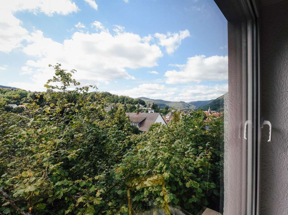 Unverbaubarer Ausblick 1. OG