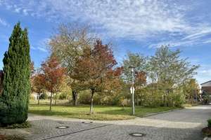 Property thumbnail 24