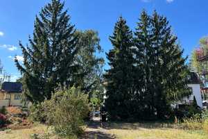 Ihr Familienidyll in Konradshöhe – Berlin – Vorschaubild 4