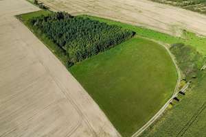 3,5 ha Land mit Jagdhütte -  in der Nähe der beiden Saaletalsperren (A1619)
 – Die vollständige Adresse der Immobilie erhältst du vom Anbieter., 7368 Remptendorf – Vorschaubild 14