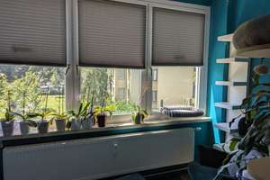 Modernisiert mit verglastem Balkon! – Marenholtzstr. 4, 38118 Westliches Ringgebiet, Braunschweig – Vorschaubild 6