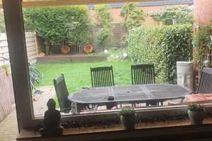 Property thumbnail 13
