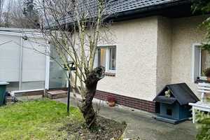 Einfamilienhaus mit attraktiven Bauland in zentraler top Lage - Mehrfamilienhaus Bebauung möglich – Berlin – Vorschaubild 5