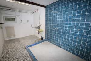 + Kaarst + Bungalow + Bj. 1972 + ca. 168 m² Wohnfläche + ca. 381 m² Grundstück + Garage + – Neuss (Rhein-Kreis) – Vorschaubild 13