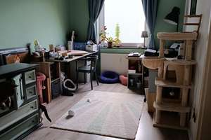 Maisonette-Wohnung mit offener Küche und Balkon – Wangerooger Straße 25, 28219 Walle (Ortsteil), Bremen – Vorschaubild 6