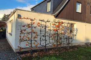 DHH mit Traumgrundstück in Dresden