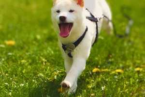 Property thumbnail 14