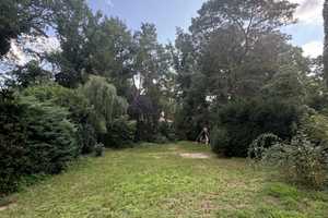 Charmantes Einfamilienhaus mit Gartenidylle in begehrter Lage in Kleinmachnow – Haeckelstraße 11, 14532 Potsdam-Mittelmark (Kreis) – Vorschaubild 6