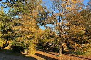Stadthaus in Traumlage direkt am Kurpark Bad Münder mit Garten und Dachterrasse – Am Kurpark 4b, 31848 Bad Münder am Deister – Vorschaubild 32