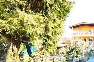 Mehrfamilienhaus mit drei Wohneinheiten – ideal für Anleger und Selbstnutzer – Rhein-Neckar-Kreis – Vorschaubild 4