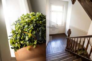Apartment in ruhiger Lage zur Anlage – Die vollständige Adresse der Immobilie erhältst du vom Anbieter., 4299 Stötteritz, Leipzig – Vorschaubild 2